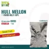 Huell Melon (GR)