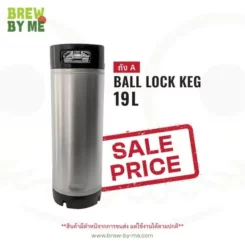 ball lock keg 19L sale